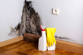 Best Dehumidification Services  in USA